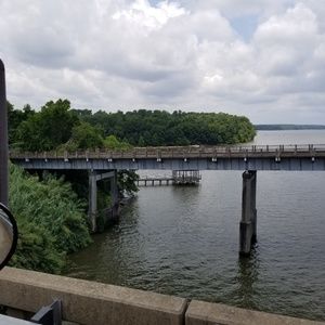 Meet your Posher, Francis